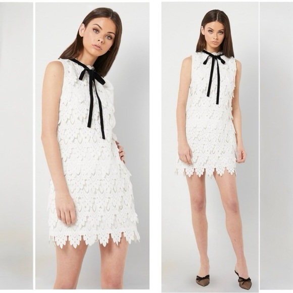 ELLIATT Harmonia Lace High Neck Cocktail Sleeveless Mini Dress Size Large New - Picture 5 of 10